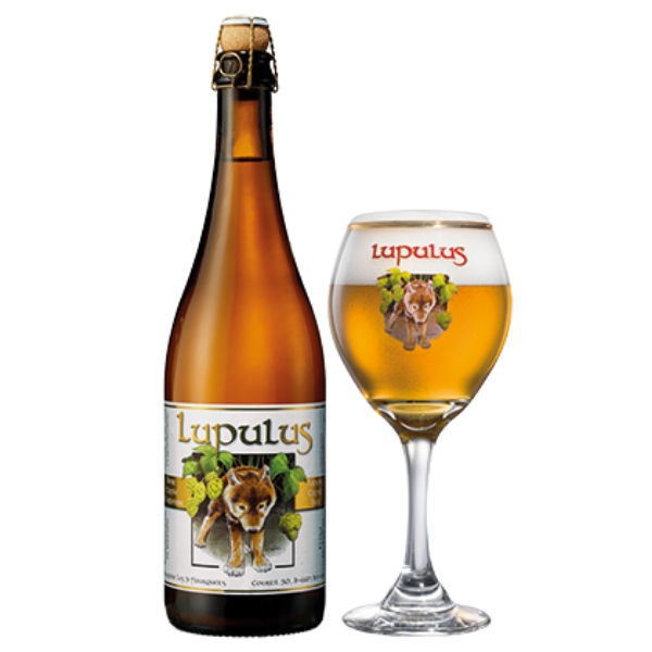 lupulus birra blonde triple doppio malto vino quotidiano