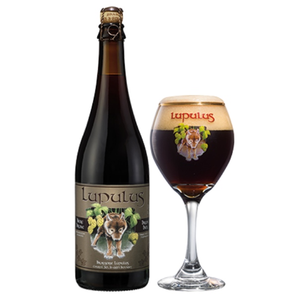 lupulus birra brune triple doppio malto vino quotidiano