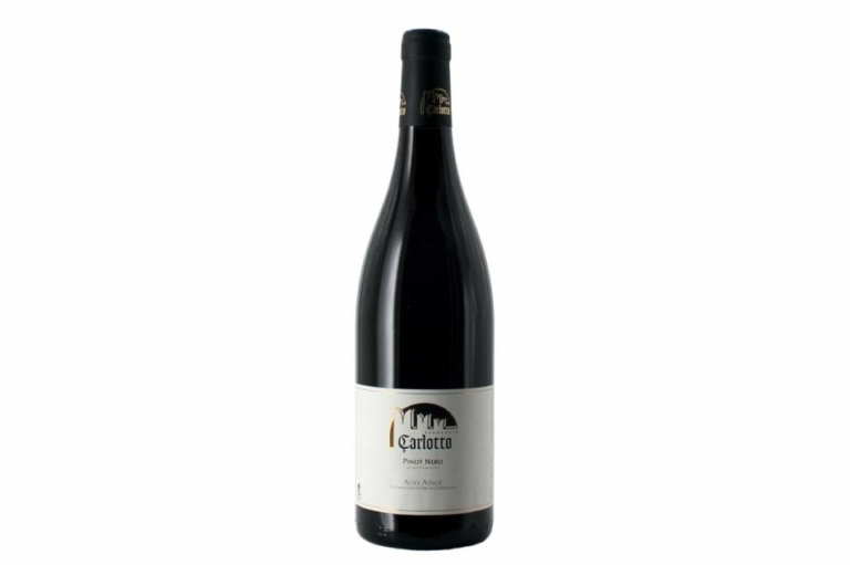 pinot nero mazzon alto adige doc 2016 75 cl carlotto