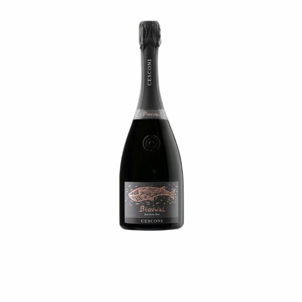 cesconi blauwal rose trento doc extra brut trentino alto adige