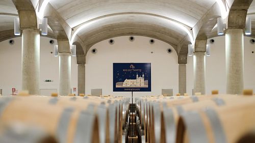 donnafugata sicilia cantina barricaia barrique mille e una notte vini rossi bianchi opt