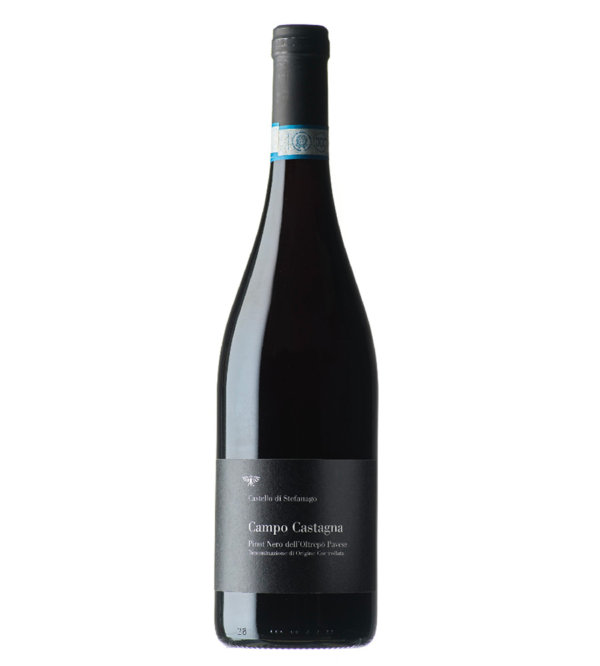 stefanago campo castagna vino rosso oltrepò pavese vino quotidiano