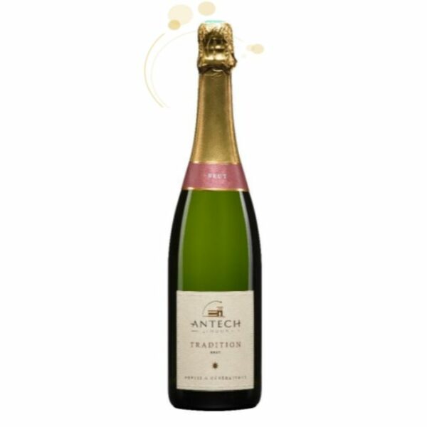 antech blanquette de limoux brut cuvee spumante 2019 francese