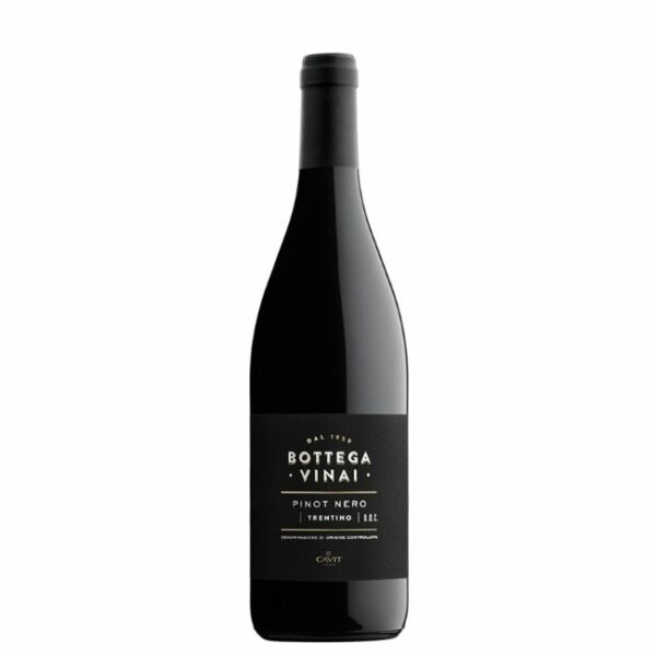 bottega vinai pinot nero trentino 2020 cavit