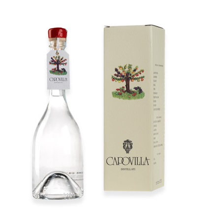 capovilla distillato amarene marasche veneto vino quotidiano