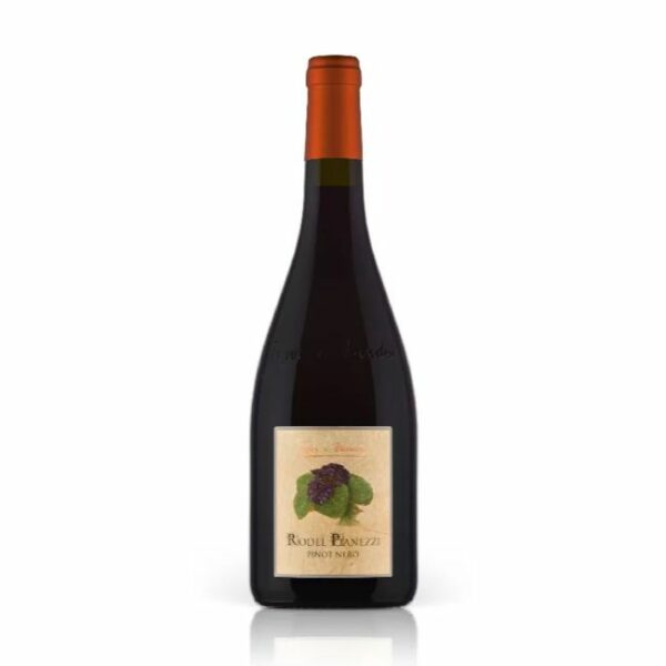 Rodel Pianezzi Pinot nero 2018 trentino alto adige pojer e sandri