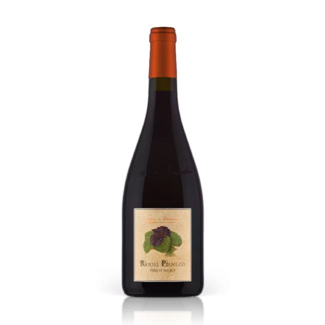 Rodel Pianezzi Pinot nero 2018 trentino alto adige pojer e sandri