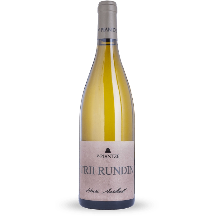 Trii Rundin le plantze valle daosta vino bianco pinot grigio viticoltura eroica vino quotidiano