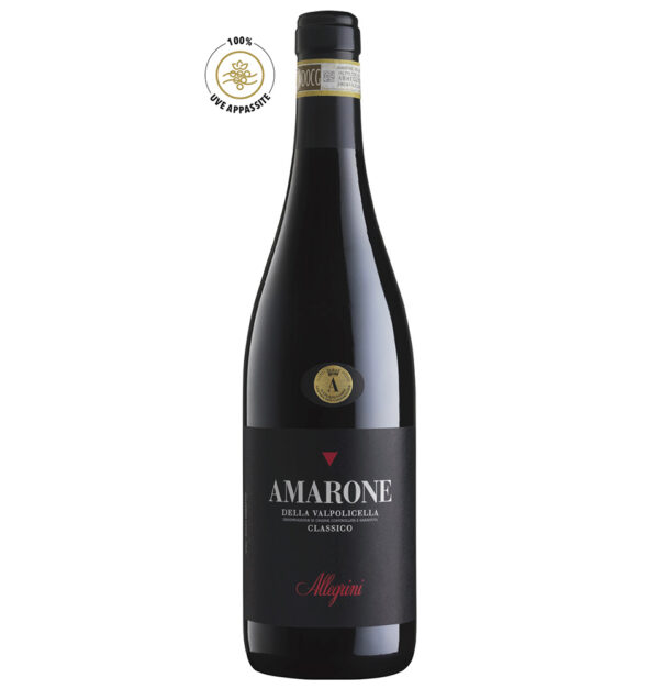 amarone della valpolicella classico 2012 vino quotidiano