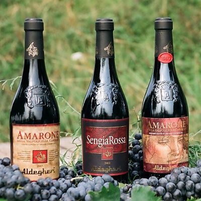 cantina aldegheri vini rossi amarone sengiarossa rosso veronese opt