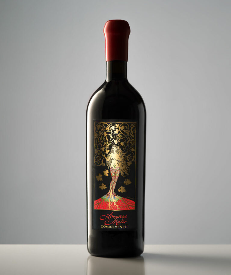 domini veneti Amarone Mater 2011 corvina valpolicella vino quotidiano