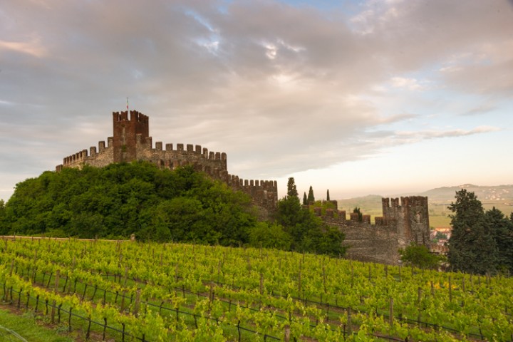 gianni tessari soave vigneti castello