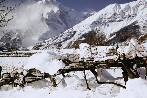 vitigno con neve photogallery opt