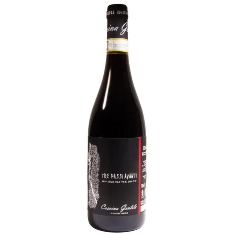 TRE PASSI AVANTI OVADA DOCG DOLCETTO BIO 2020 CASCINA GENTILE vino quotidiano vino rosso italia piemonte