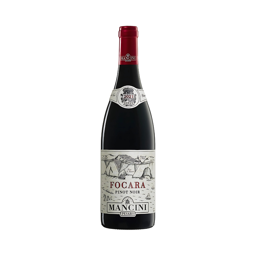 FOCARA PINOT NERO COLLI PESARESI DOC 2022 | FATTORIA MANCINI