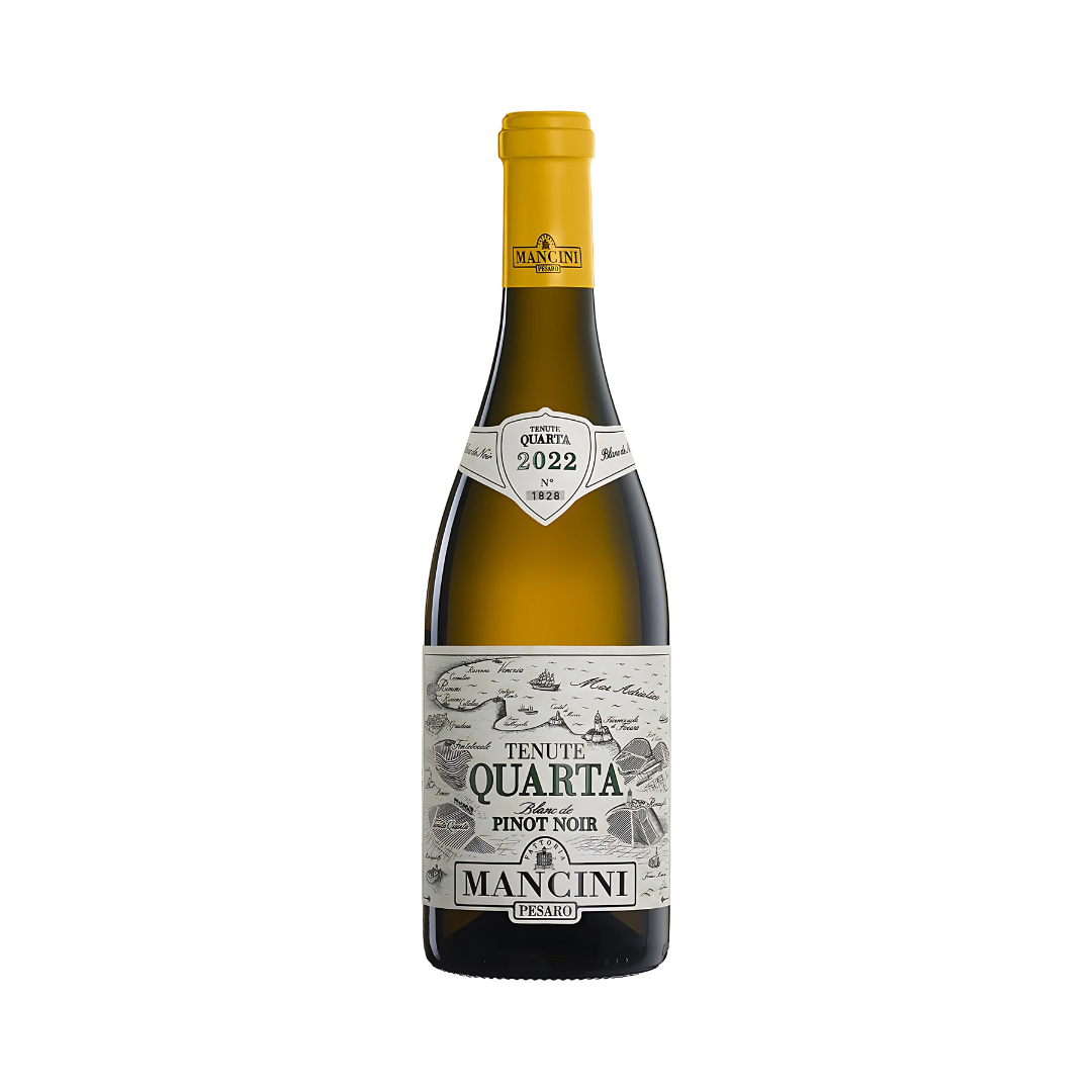 TENUTE QUARTA PINOT NERO VINIF. IN BIANCO 2023 | FATTORIA MANCINI