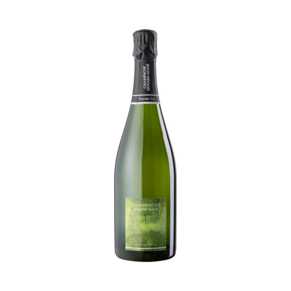 CHAMPAGNE 1ER CRU BLANC DE BLANCS HOMMAGE VERT 3 NATURE 2022 | DOYARD-MAHE