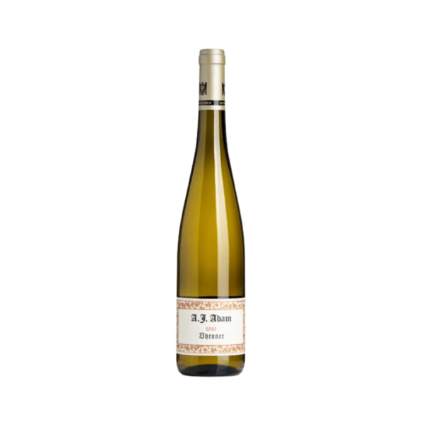 RIESLING DHRONER TROCKEN 2024 | AJ ADAM