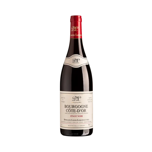 BOURGOGNE ROUGE COTE D'OR 2023 | DOMAINE LOUIS LEQUIN